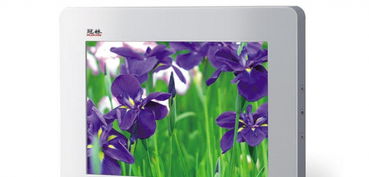 智能化安防与网络工程的综合构建 从监控施工到光纤熔接的全流程解析